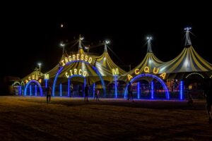 Scopri di più sull'articolo Il Circo, l’Acqua e la mancanza di originalità: la Guerra dei Cloni