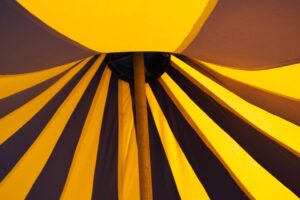 Scopri di più sull'articolo Fare cose sotto un tendone non vuol dire fare Circo