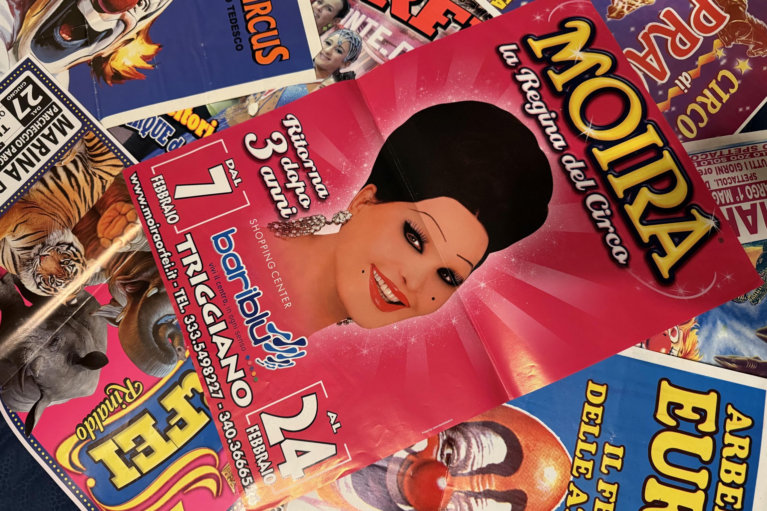Circo e Pubblicità: tra comunicare male e ingannare il pubblico