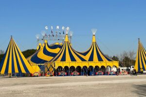 Scopri di più sull'articolo Gravity Show: come innovare senza rinunciare alla vera essenza del circo