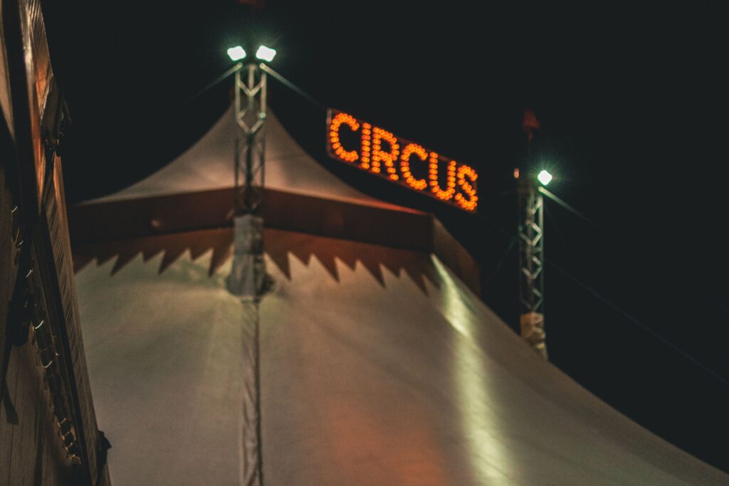 Gli amici del circo non possono criticare il circo