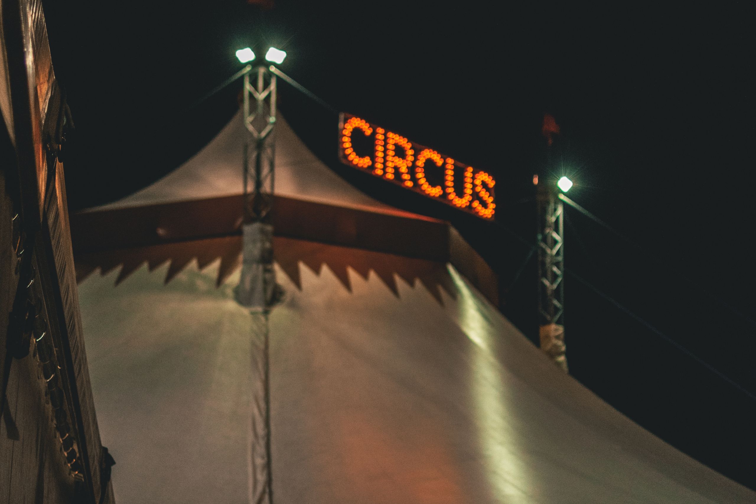Gli amici del circo non possono criticare il circo
